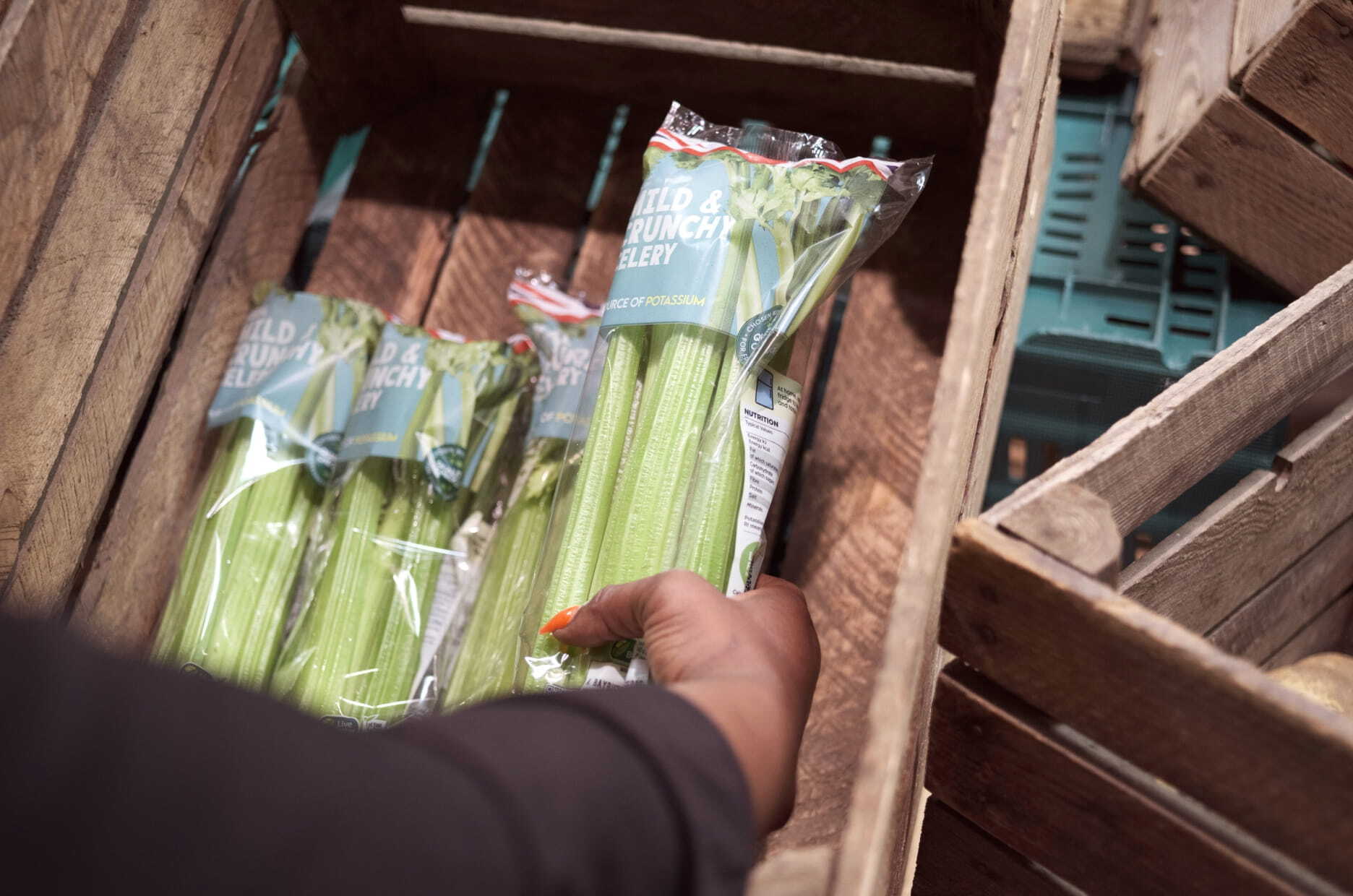Hand picking up celery from box